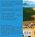 Wise Tales: A Collection of Nigerian Folk Tales: Volume 1