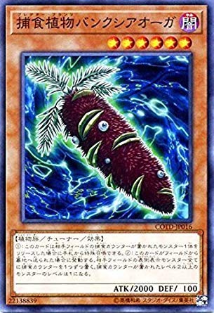 Amazon.co.jp: 遊戯王OCG 捕食植物バンクシアオーガ ノーマル
