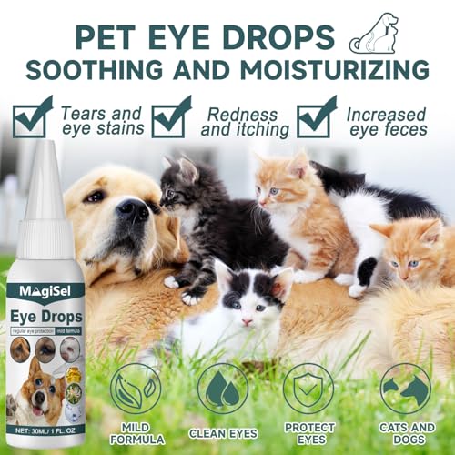 MagiSel Spezial Augentropfen für Hunde und Katzen 30 ml, Augentropfen für Hunde & Katzen mit kolloidalem Silber, Augentropfen Kolloidales Silber Hund, Augenpflege – Juckreiz, Reizung, Tränenflecken