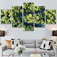 SIGNWIN 5 Panel Canvas Wall Art Modern Art Aerial Expressive Global Landscape Mountain Multicolor Photography for Home Decorations Ready to Hang - 60