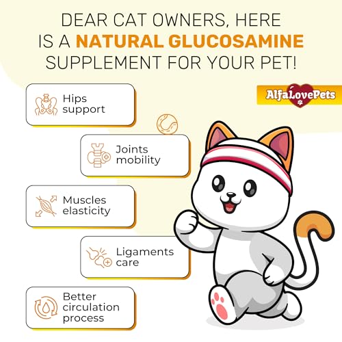 Cat Joint Supplement for All Breeds – Glucosamine for Cats and Kittens – Glucosamine, Chondroitin, MSM for Hip & Joint Care – Natural Ingredients with Chicken Flavor – 2 Oz