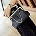 Lanpet Women Classical Kiss Lock Clutch with Chain Strap Shoulder Bag Purse Wallet