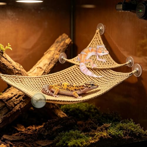 Hamaca de gecko para terrario y cama de descanso de reptil 3