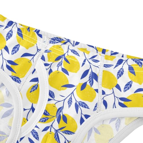 Boys' Exclusive Briefs Toddler Underwear 95% Combed Cotton Boxerbriefs 2T Lemon and Leaf Pattern 644