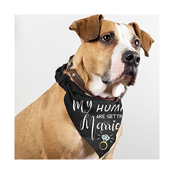 My humans are getting married she said yes dog bandana for wedding engagement photos, pet scarf accessories for dog lovers, bridal shower gift, pack of 2 - image 6