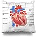 358 Fodera per Cuscino 45x45 Divano Federa Cuscino Diagramma Anatomico Anatomia del Cuore Umano Scienze Cardiache Corpo Muscolo Organo Ventricolo Coronarico Federe Cuscini per Letto Casa