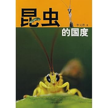Paperback insect kingdom (paperback) [Chinese] Book