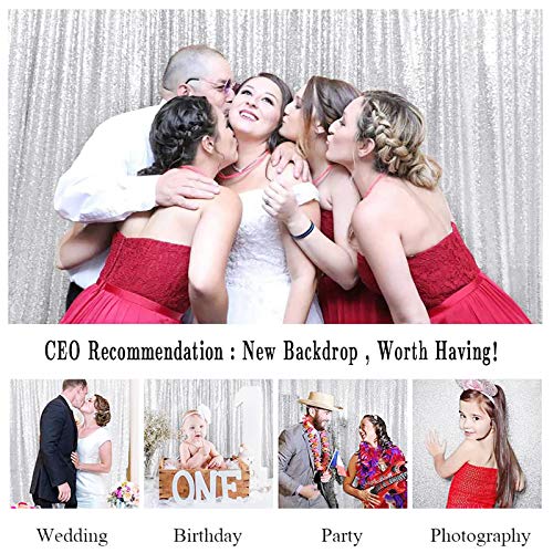 In SALDO 4FT * 7FT Fondali in Argento con