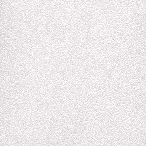 Rust-Oleum 253611 Metallic Accents Paint, Quart, White Pearl 32 Fl Oz (Pack Of 1) #TOP1