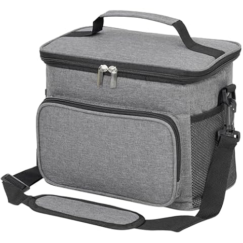 ECHSRT Insulated Lunch Bag for Women/Men - Reusable Lunch Box for Work Office Picnic Beach - Collapsible Leakproof Soft Cooler Bag with Adjustable Shoulder Strap for Adults - 10L,Grey Cover