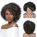 Kalyss Short Afro Kinky Curly Wigs for Women Natural Luster Synthetic Hair Wigs with Hair Bangs 150% Density Big Bouncy and Full Natural Looking Hair Replacement Wig