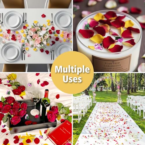 Pétalos de rosa secos reales 20 tazas para decoración miniatura 6