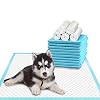 Pet Training and Puppy Pads 24″x24″ (75 Count), Super Absorbent Pee Pads for Dogs, Leak-Proof Dog Potty Training Pads for Puppies, Cats, Rabbits, Disposable Pet Pads for Housetraining