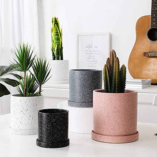 Maceta pequeña moderna para cactus que soluciona el espacio en ventanas estrechas 5