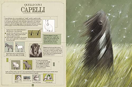 Animali Bellissimi. Ediz. A Colori - 5