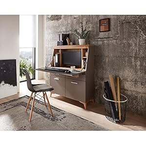 Lomadox Sekretär Basalt Eiche Altholz Nb.