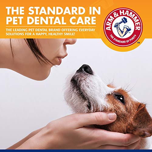 Image of Arm & Hammer for Pets Tartar Control Dog Dental Care Kit Banana Mint Flavor Toothpaste Double-Sided Toothbrush Finger Brush 2.5 OZ 3-Piece 48 Pack