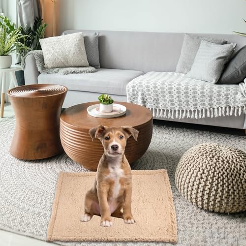 TEHAUX ybgpJV~у}bg yʌg J[LF ۉK LQ ԍڗp\t@p sLvΉ