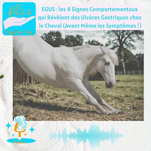 EGUS : les 4 Signes Comportementaux qui Révèlent des Ulcères Gastriques chez le Cheval