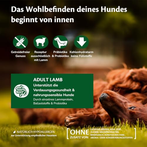 Wellness CORE Lamb 1,8 kg, Lamm – Hundefutter Trocken
