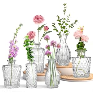 Mini Glass Bud Vases – Set of 6 Small Vases for Flowers, Perfect for Centerpieces, flower Vases for Centerpieces.