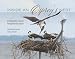 Inside an Osprey's Nest: A Photographic Journey through Nesting Season