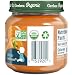 Gerber Purees Organic 2nd Foods Sweet Potato Apple Carrot with Cinnamon Baby Food Glass Jar, 4 oz