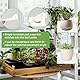 BEASAFY 2 Stück Grow Tent Corner Shelf, 8,9 x 8,9cm Grow Zelt Eckregal, Growzelt Stangen Zubehör, Grow Tent Regale, Multifunktionaler ZeltständerWird für Grow Tent Poles 16mm (Weiß) (2)