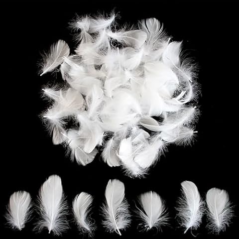 Lamar Feather 300Pcs White Feathers 2-3 Inches Bulk Feathers for Crafting, Dream Catcher Accessories, Art Projects, DIY Crafting, Handi Crafts, Party Decoration (White) Cover