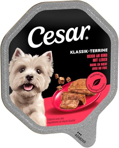 Cesar Klassik-Terrine Schale Adult 14 x 150 g reich an Rind mit Leber Stückchen in Pastete (14er-Packung)