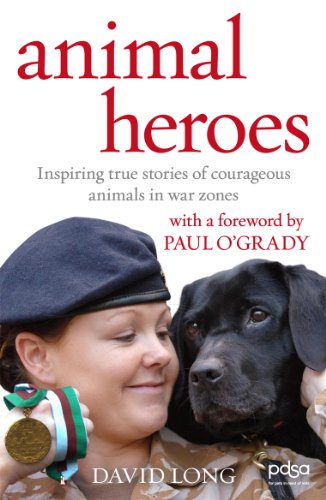 Animal Heroes view 2