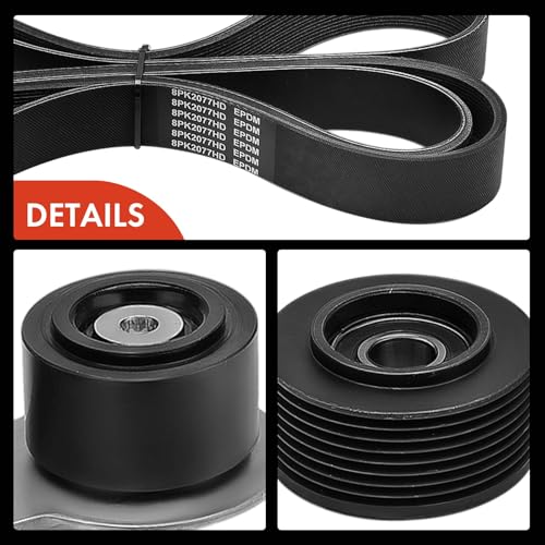 Kit de correa serpentina con tensor estable para Blue Bird All American 6.7L 7