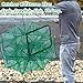 EATHEATY 3 Pack Minnow Fish Trap - Foldable Fishing Nets Cage for Crawfish, Crawdad, Pinfish, Perch, Catfish & Shrimp - Ideal for Lakes, Creeks & Bait Fishing