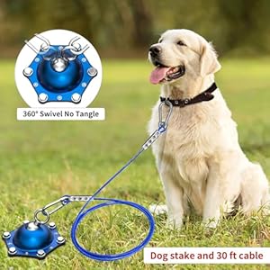 Dog-Tie-Out-Cable-and-Stake-for-Camping360Swivel-Dog-Run-No-Tanglewith-30FT-Heavy-Duty-CableDog-Runner-for-Yard-Rust-Proof-Can-Hold-2-Dogs-Up-to-150LBSIdeal-for-Outdoor-Camping - Cucciolini Doodles   Dog-Tie-Out-Cable-and-Stake-for-Camping360Swivel-Dog-Run-No-Tanglewith-30FT-Heavy-Duty-CableDog-Runner-for-Yard-Rust-Proof-Can-Hold-2-Dogs-Up-to-150LBSIdeal-for-Outdoor-Camping