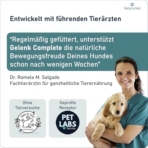 VeloraVet Grünlippmuschel Gelenktabletten Hund – HOCHDOSIERT mit Grünlippmuschelpulver, MSM, Teufelskralle, Glucosamin & Kollagen – Keine Kapseln, hohe Akzeptanz – Gelenk- & Knochenschutz – 60 Stück