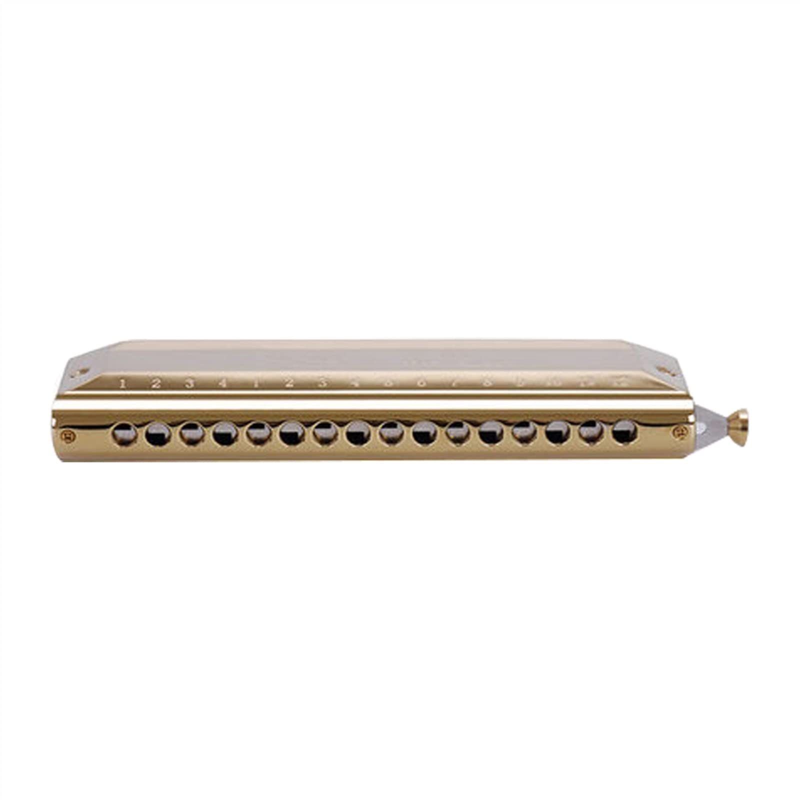 16 Fori 64 Toni Scala Cromatica Armonica in Resina ABS Griglia Bronzo Fosforoso Gong Bambini Principianti Armonica per Principianti (Color : Gold)