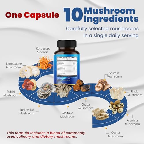Mushroom Blend For Brain Health