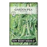 Beautiful – Large premium packet of Telephone Pea (Pisum sativum) seeds. Telephone Pea, also known as Alderman, is a classic English heirloom first introduced in 1881. The 6-foot tall vines produce an abundance of 4-5" pods filled with sweet, plump p...