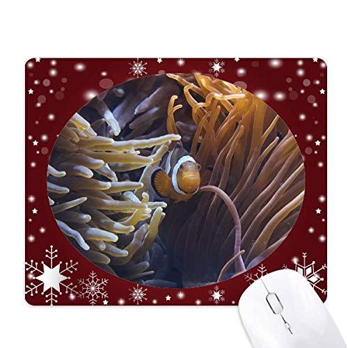 Tapis de souris antidérapant Ocean Anémone Fish Corail Science Nature en caoutchouc