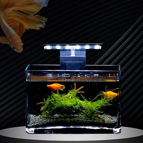 Acuario de cristal rectangular con diseño creativo y formato mini portátil 5