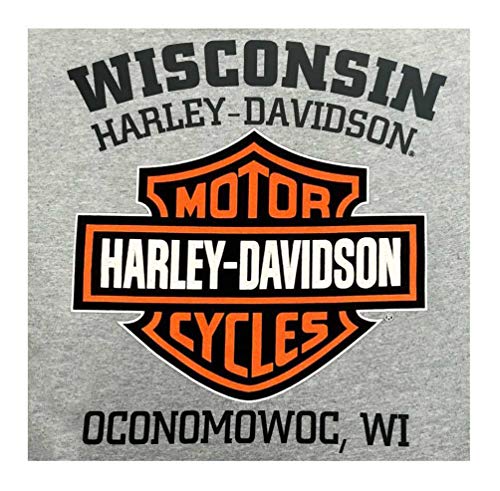 Harley-Davidson Men's Tee, Distressed Bar & Shield T-Shirt, Gray 302965972