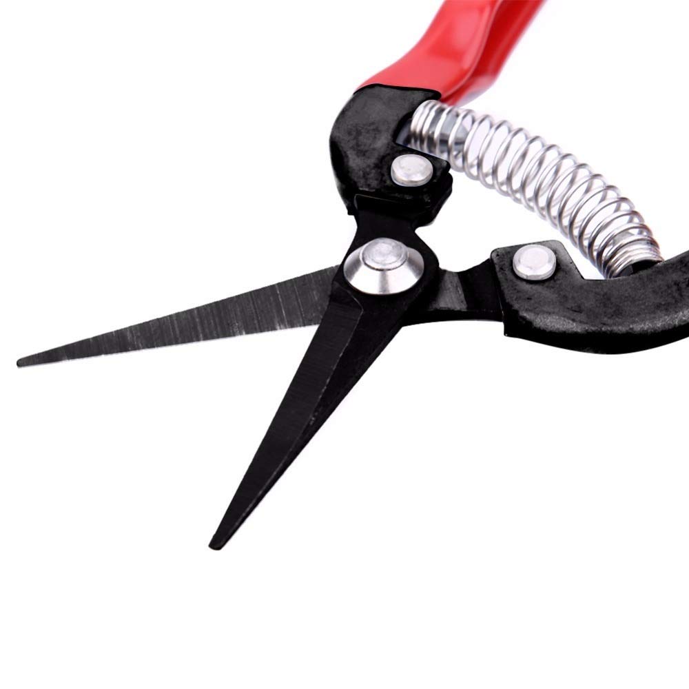 Cesoie di potatura L'innesto Giardino Forbici alto tenore di carbonio acciaio Fruit Tree Cesoie Bonsai Pruners Giardinaggio Cesoie del giardino Cesoie .Per il giardino, gli alberi, i cantieri, il parc