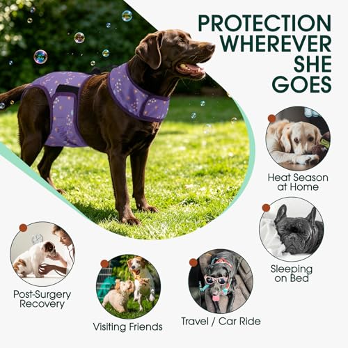 Image of Kuoser Dog Diapers Female with Suspenders, Escape-Proof Doggie Diaper, XS