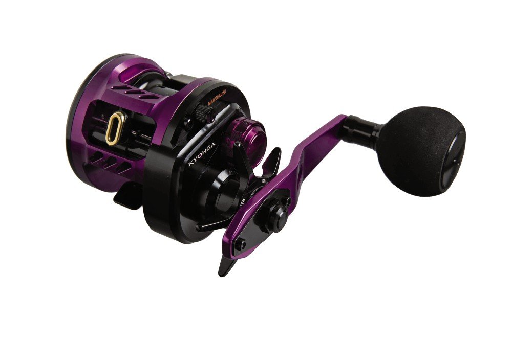 Amazon | ダイワ(DAIWA) ベイトリール(タチウオジギング) 17 鏡牙