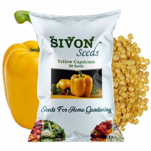 Image of SIVON Yellow Capsicum (Peeli Shimla Mirch) (20 Seeds) Vegetable Seeds for Home Garden, Organic & Hybrid, Perfect for Home Gardening, Planting For Pots and Patio