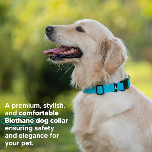 Image of Adil's Biothane Waterproof Dog Collar, Dog Leash & Collar Leash Combo | Heavy Duty TPU Coated Webbing | Adjustable Quick Release Buckle | Odour Resistant (Light Sky, M-18, Collar only)