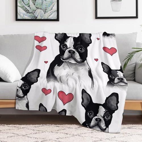 Couverture en micro polaire grand format chaude pour lit et sofa