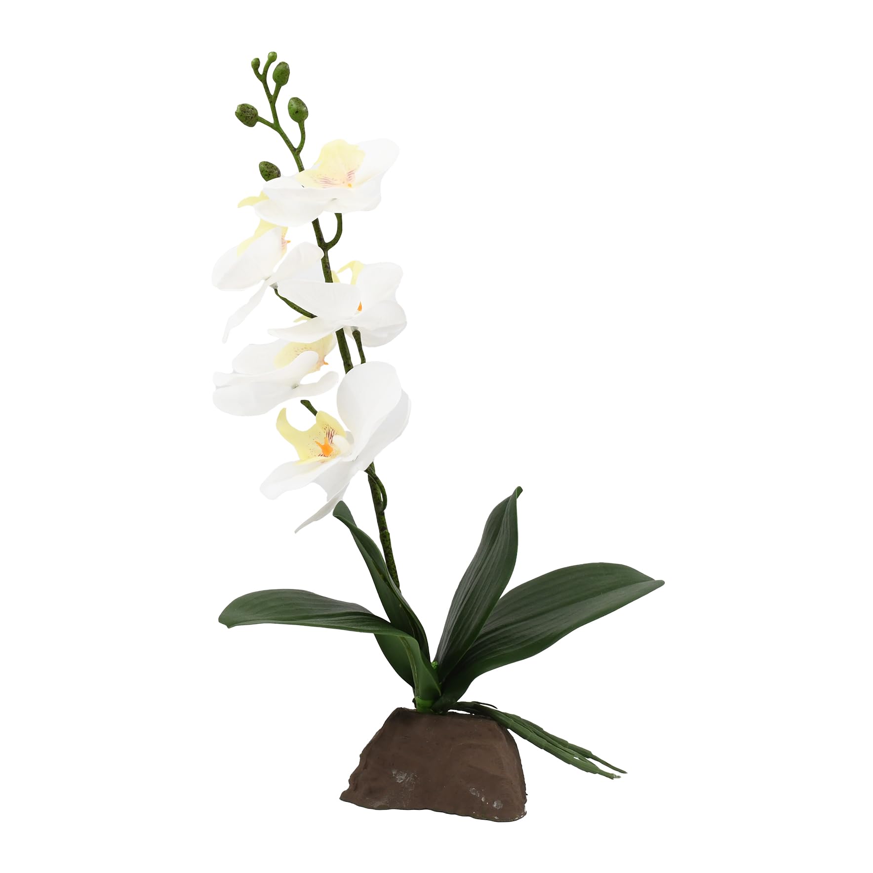 Lucky Reptile Scape it Easy Orchid Small White Approx. 35 cm Decorative Plant for Terrariums