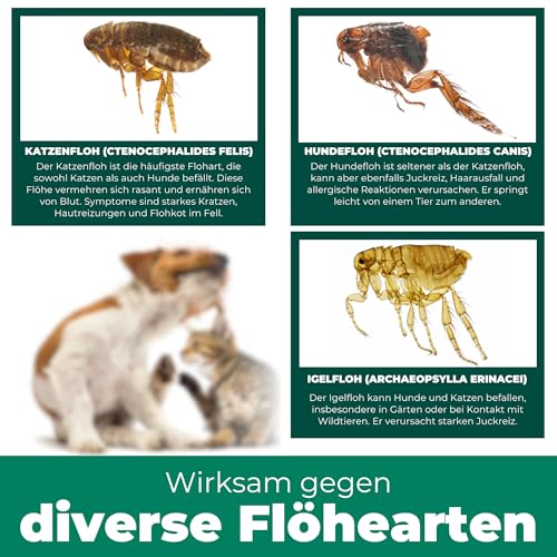 Silberkraft Flohspray für Umgebung 500ml, effektives Flohmittel gegen Flöhe, Zecken- und Milben, Flohspray für Wohnung und Möbel, ideal für Textilien, Hundebetten, Teppiche & Polster