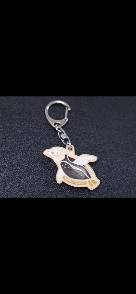 名古屋港水族館 ペンギンの羽根キーホルダー 4種セット ペンギンの羽キーホルダー 71uOm+xHO1L._UF350,350_QL50_.jpg